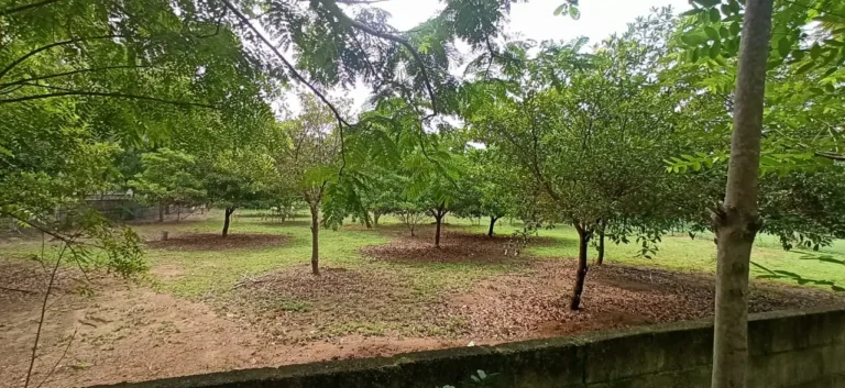 farm land for sale, plots