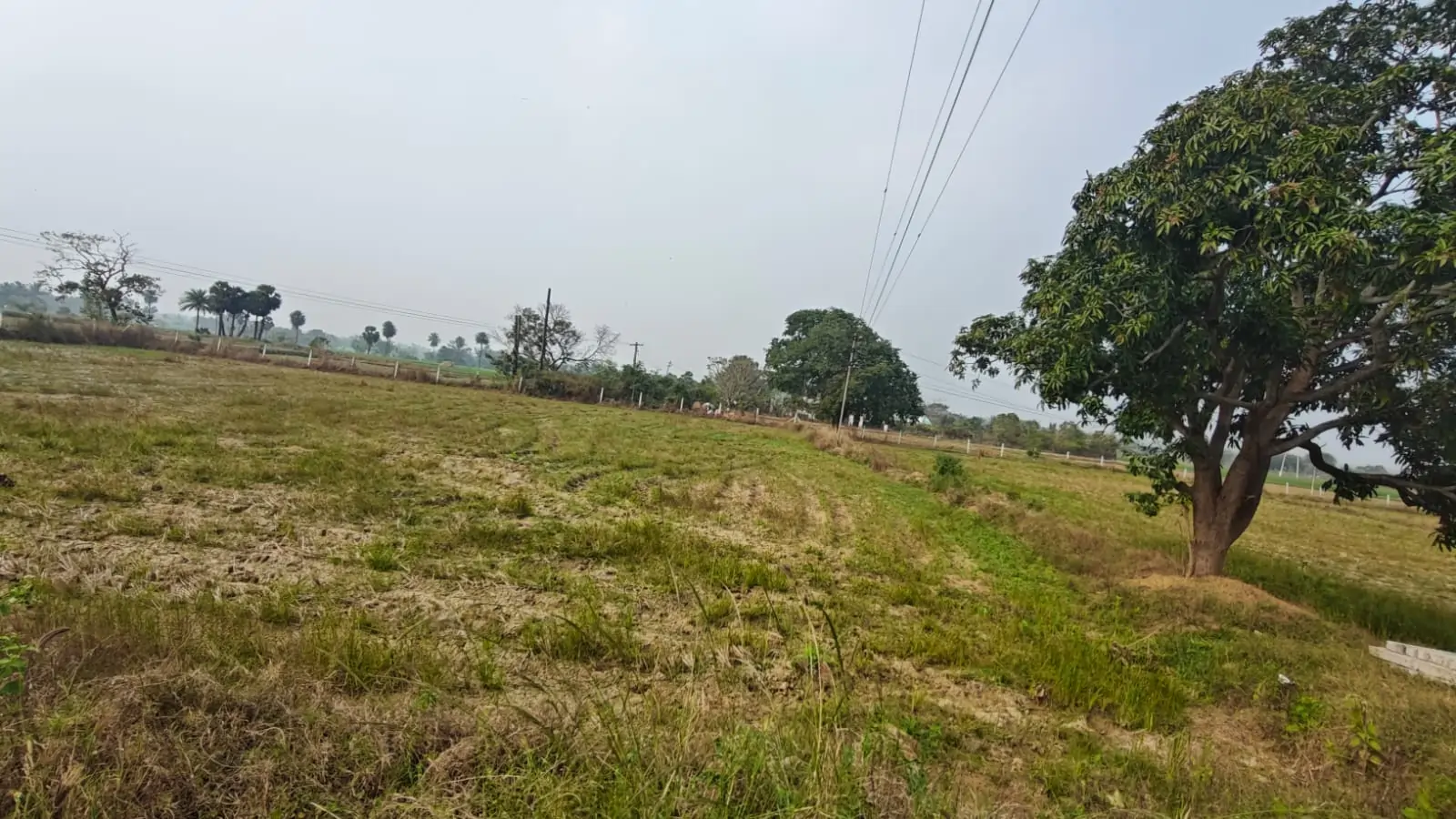 agricultural land